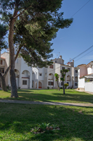 Well-Maintained Communal Gardens